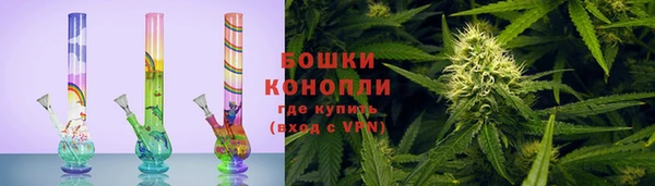 СК Касимов