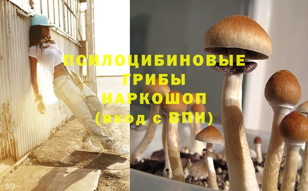 героин Карпинск