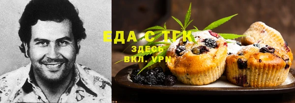 крисы Каменка