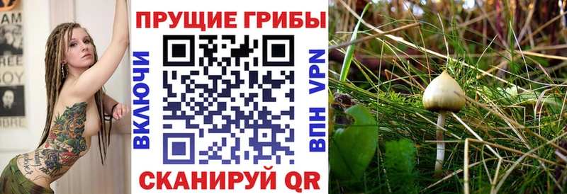 дарк нет клад Ладушкин Галлюциногенные грибы прущие грибы мега tor